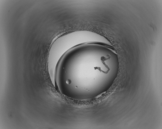 X0000112770144200908271650