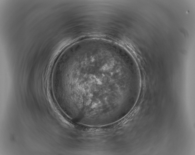 X0000112770145200908271649