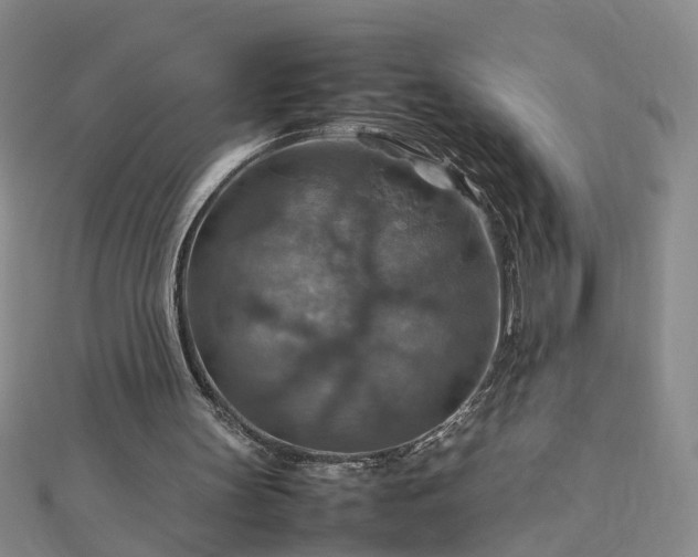 X0000112770147200908271649