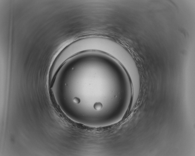 X0000112770148200908271649