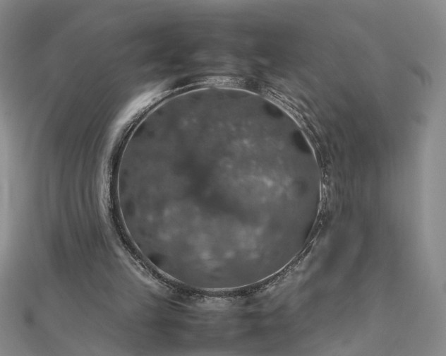 X0000112770149200908271649