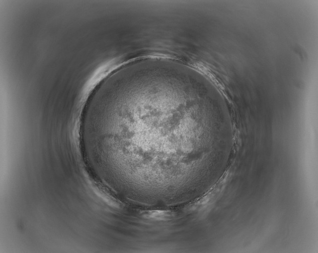 X0000112770151200908271649