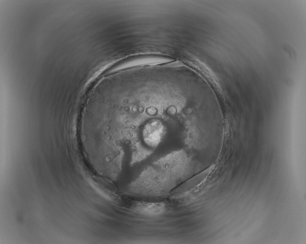 X0000112770155200908271649