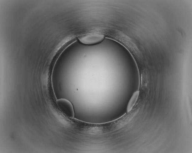 X0000112770156200908271649