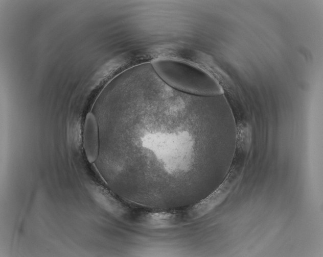 X0000112770158200908271649