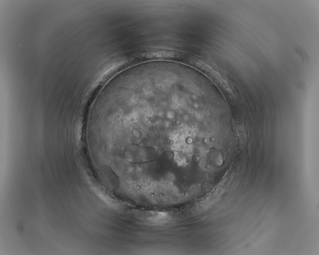 X0000112770159200908271649