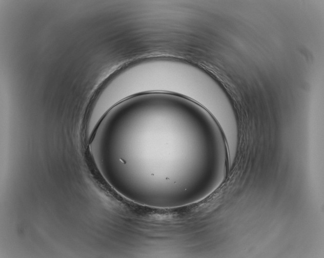 X0000112770160200908271649