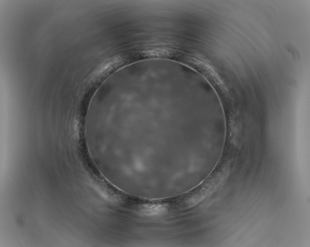 X0000112770161200908271649