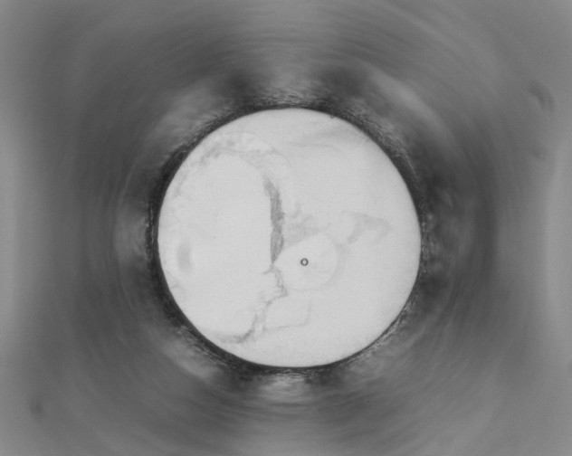 X0000112770162200908271649