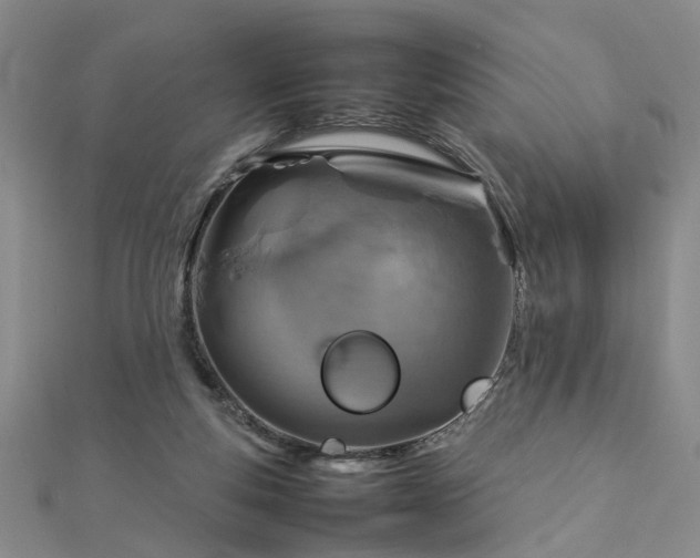 X0000112770163200908271649