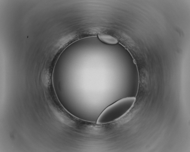 X0000112770164200908271649