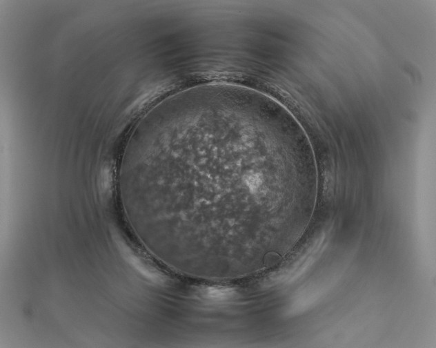 X0000112770165200908271649