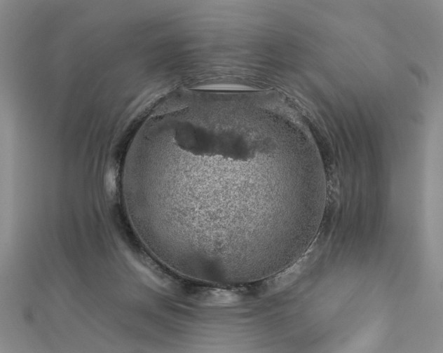 X0000112770166200908271649