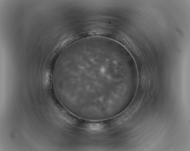 X0000112770169200908271649