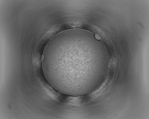 X0000112770170200908271649