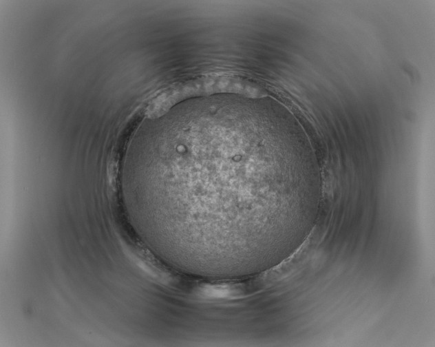 X0000112770171200908271649