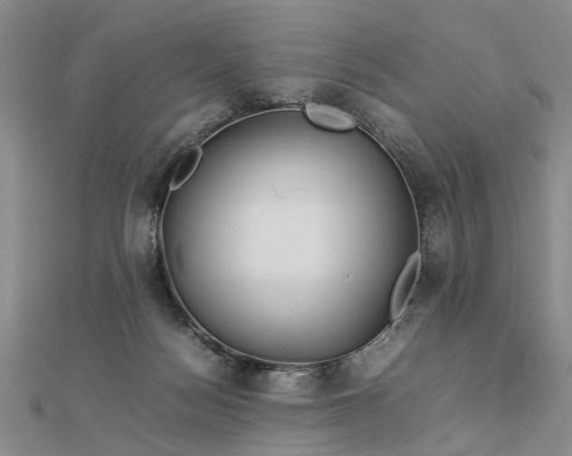 X0000112770172200908271649