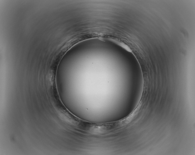 X0000112770174200908271649