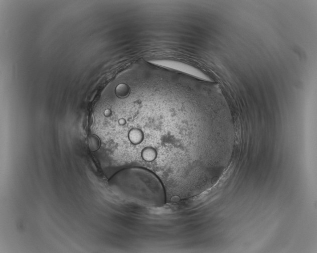 X0000112770175200908271649