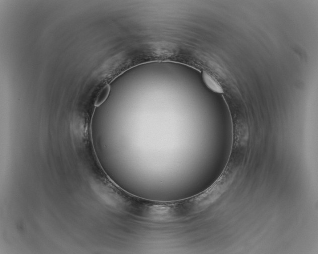 X0000112770176200908271649