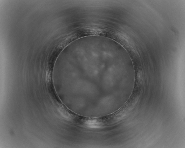 X0000112770177200908271649