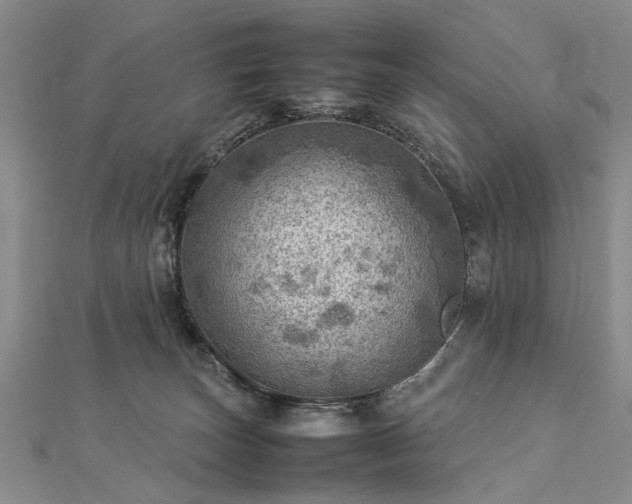 X0000112770179200908271649