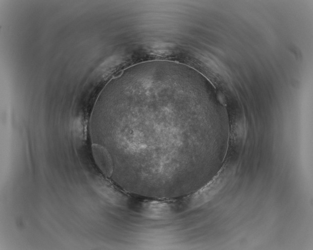 X0000112770180200908271649