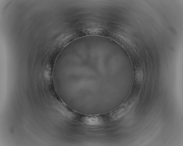 X0000112770181200908271649