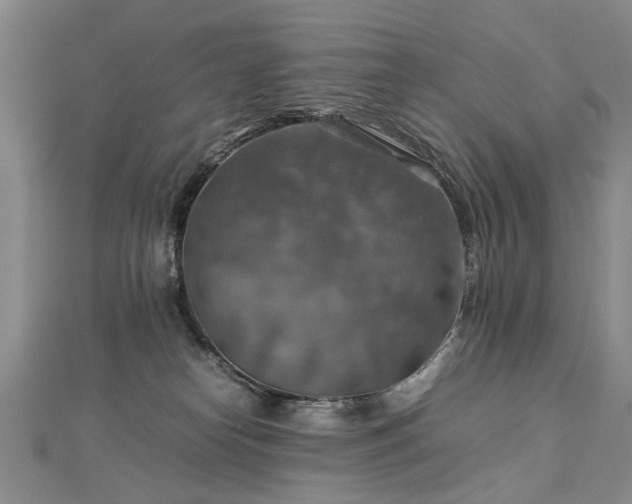 X0000112770182200908271649