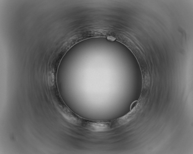 X0000112770183200908271649