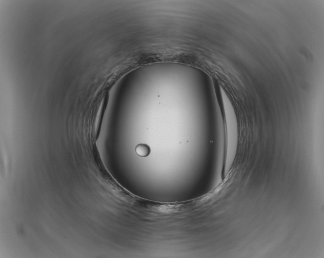 X0000112770184200908271649