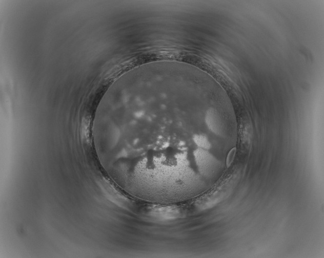 X0000112770185200908271649