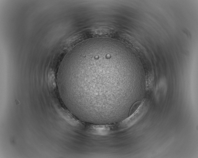 X0000112770187200908271649