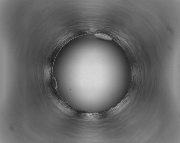 X0000112770188200908271649