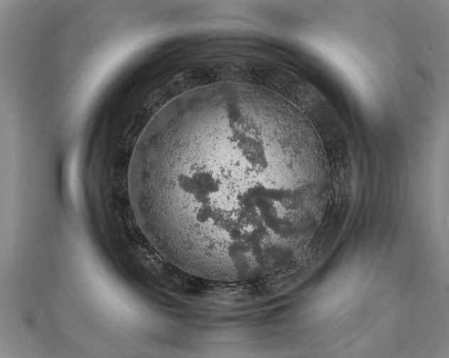 X0000112770189200908271649