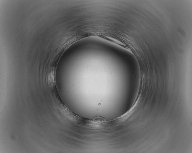 X0000112770190200908271649