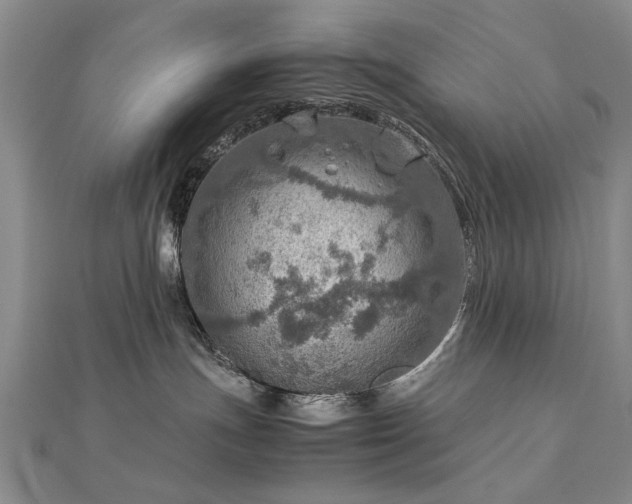 X0000112770191200908271649