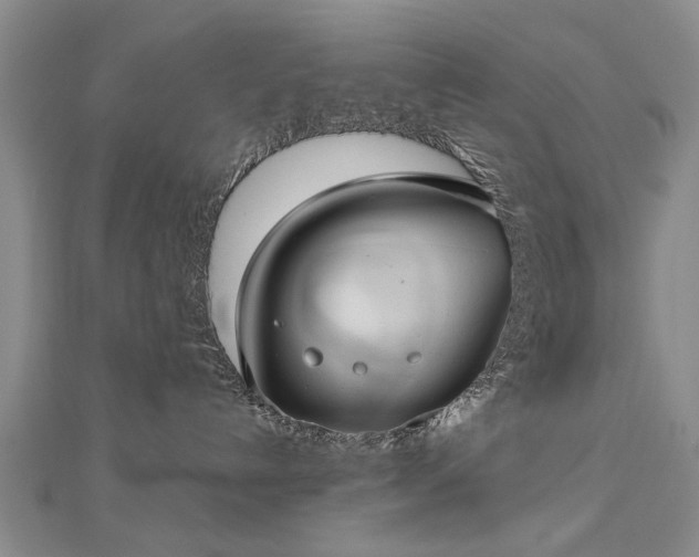 X0000112770192200908271649