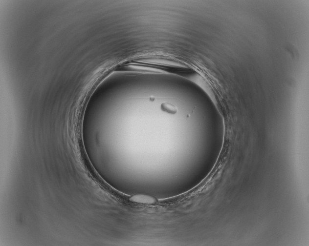 X0000112770193200908271649