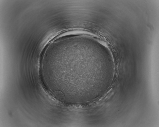 X0000112770194200908271649