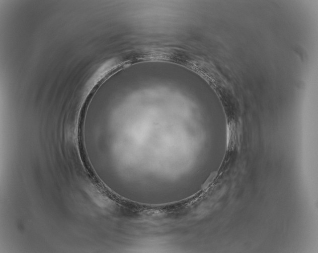 X0000112770195200908271649