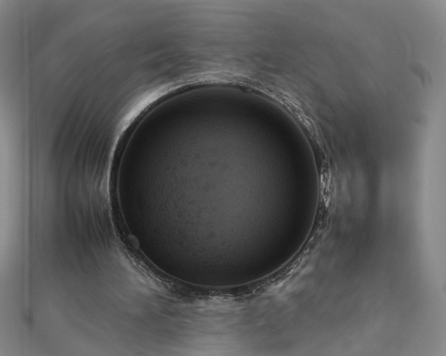 X0000112770196200908271649