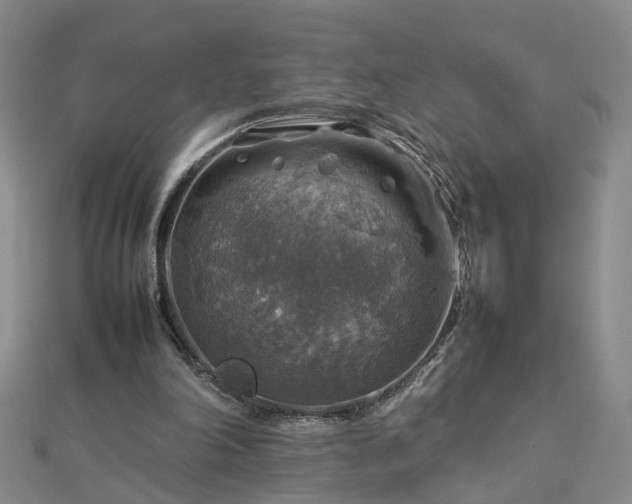 X0000112770198200908271649