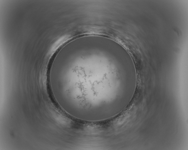 X0000112770199200908271649