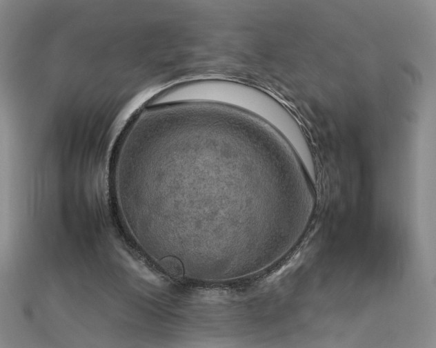 X0000112770200200908271649