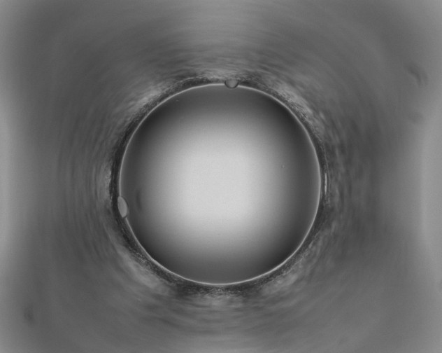 X0000112770201200908271649