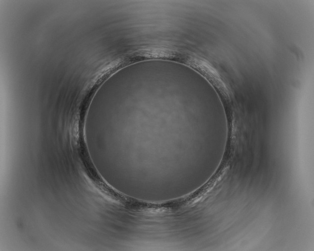 X0000112770202200908271649