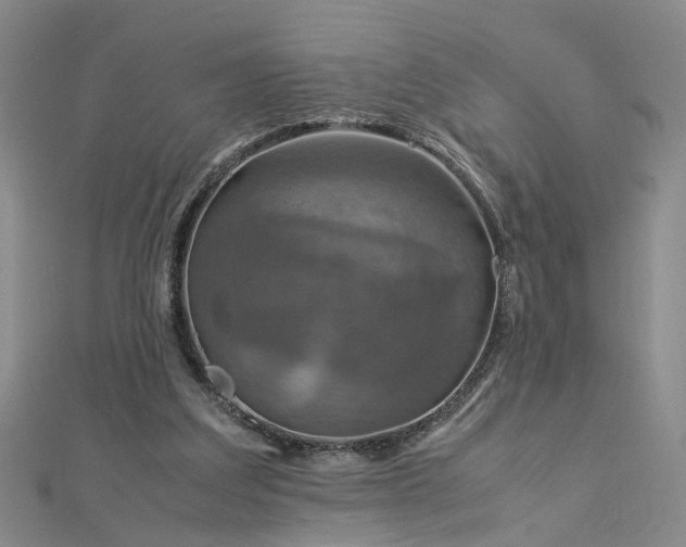 X0000112770203200908271649