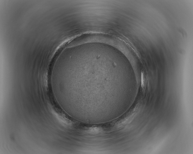 X0000112770204200908271649