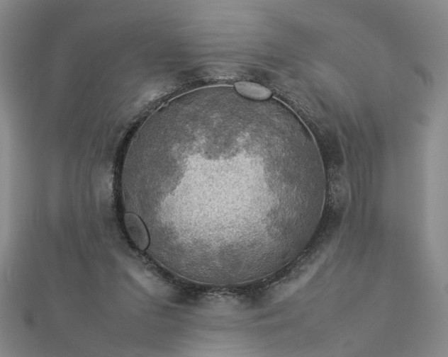 X0000112770207200908271649